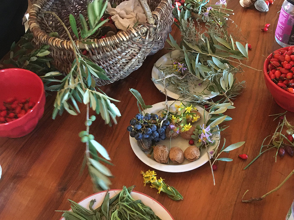 Plantas medicinales y Comestibles  